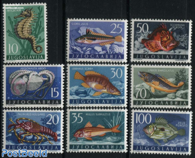 Adriatic sea animals 9v