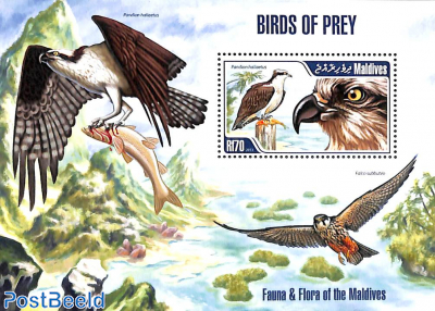 Birds of Prey s/s