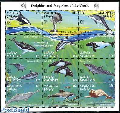 Dolpins and Porpoises 12v m/s