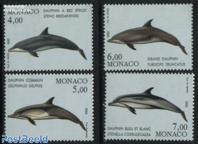 Dolphins 4v