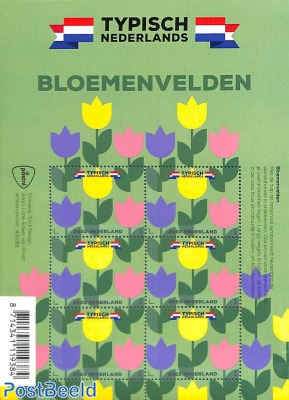 Typical Dutch, flower fields m/s