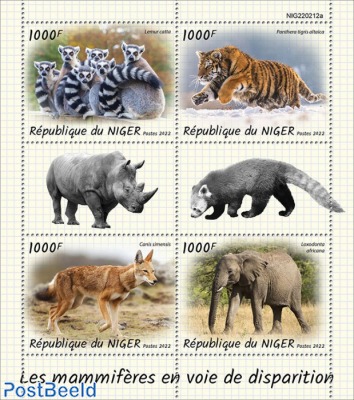 Endangered mammals