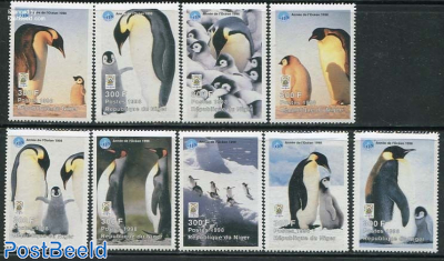 Animals 9v, penguins