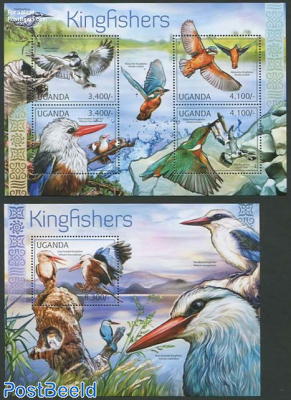 Kingfishers 2 s/s