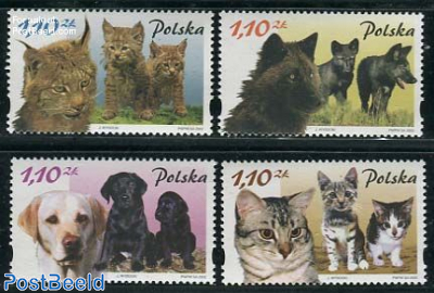 Dogs & cats 4v