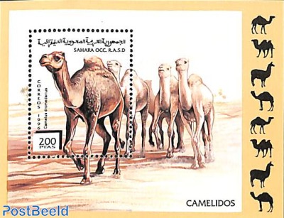 CAMELS S/S