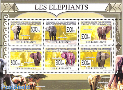Elephants 6v m/s