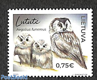Owls 1v