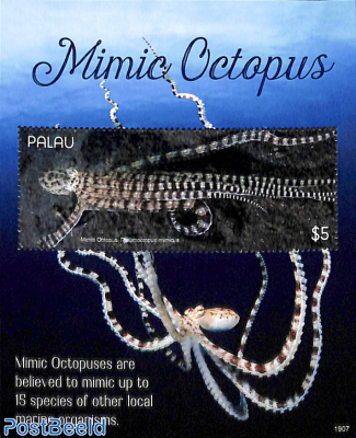 Mimic Octopus s/s
