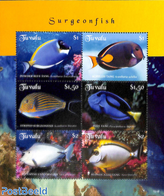 Surgeonfish 6v m/s