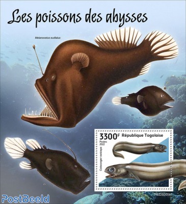 Deep-sea fishes