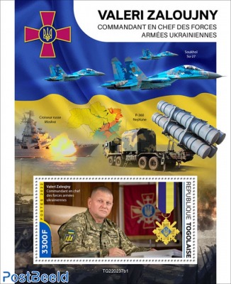 Commander-in-Chief of the Ukrainian Air Force Valerii Zaluzhnyi 