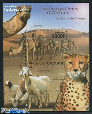 African Eco Systems, Sahara s/s