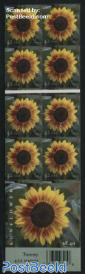 Sunflower foil booklet