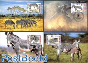 WWF/Zebra 4v [:::]