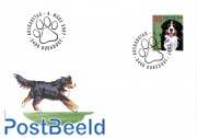 Bernese mountain dog 1v s-a